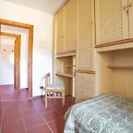 Rosita * Palau